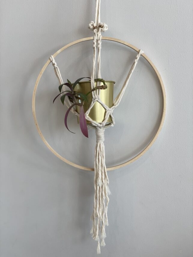 Danaat Hanging plants
